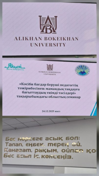 Алихан Бөкейхан университетінде кәсіби бағдар беруге арналған облыстық семинар